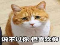 温州市捷拱商贸有限公司