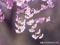 温州市捷拱商贸有限公司