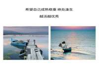 温州市捷拱商贸有限公司