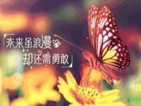 温州市捷拱商贸有限公司