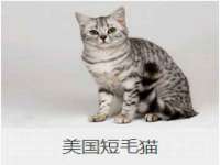 温州市捷拱商贸有限公司