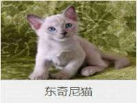 温州市捷拱商贸有限公司