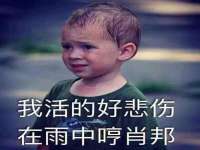 温州市捷拱商贸有限公司