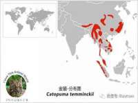 温州市捷拱商贸有限公司