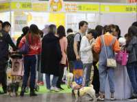 温州市捷拱商贸有限公司