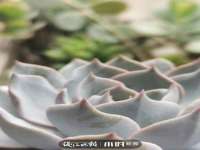 温州市捷拱商贸有限公司