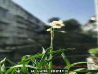 温州市捷拱商贸有限公司
