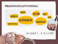 温州市捷拱商贸有限公司