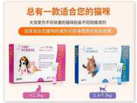 温州市捷拱商贸有限公司