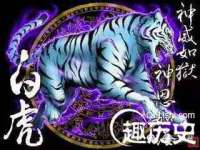 温州市捷拱商贸有限公司