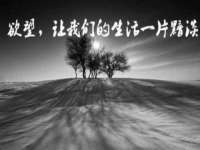 温州市捷拱商贸有限公司