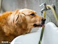 温州市捷拱商贸有限公司