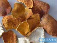 温州市捷拱商贸有限公司